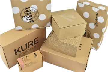 Livrare expres Cutii în Zwijnaarde BE